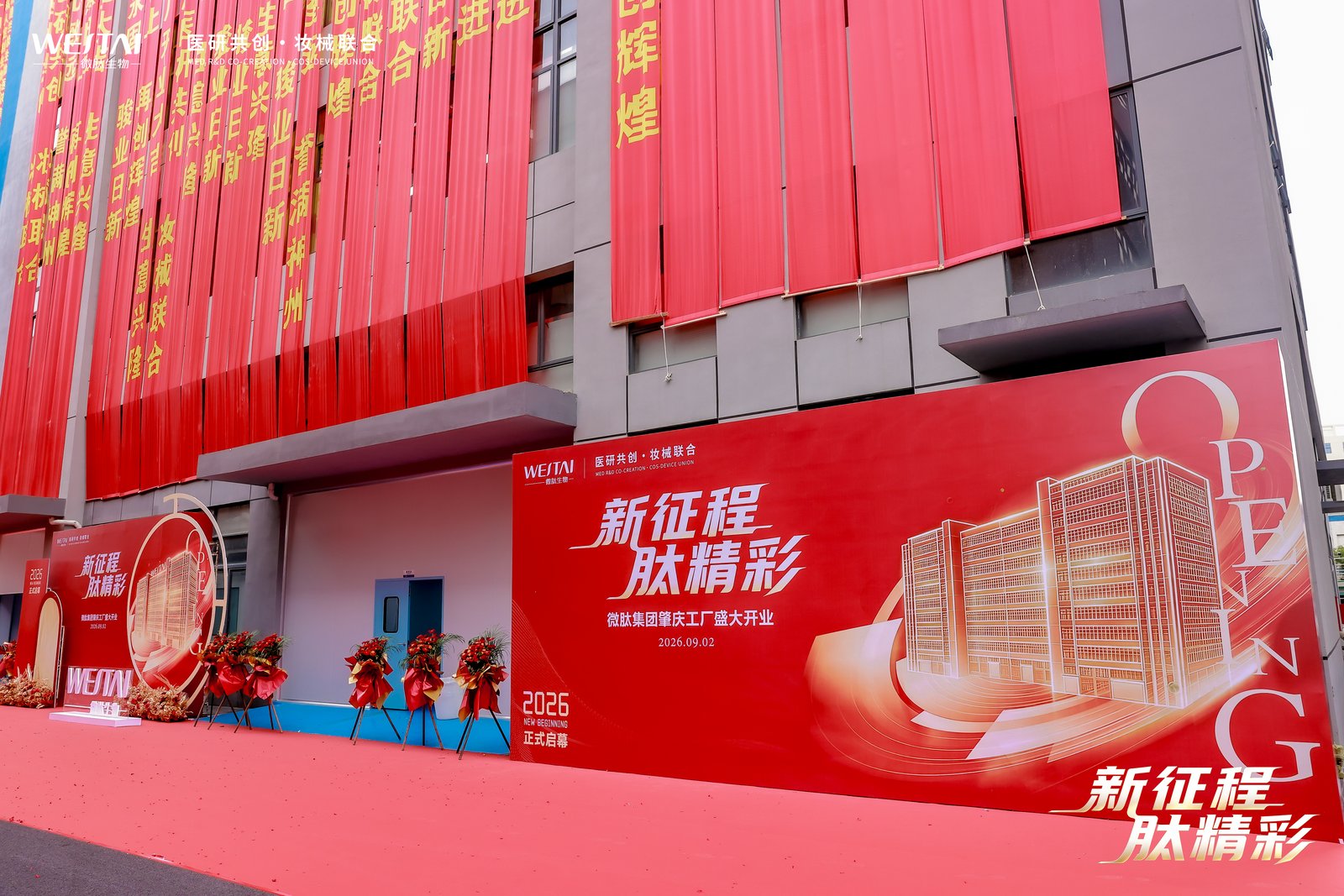 微肽肇庆工厂不只是代工：自研原料从中试到量产怎么跑通？