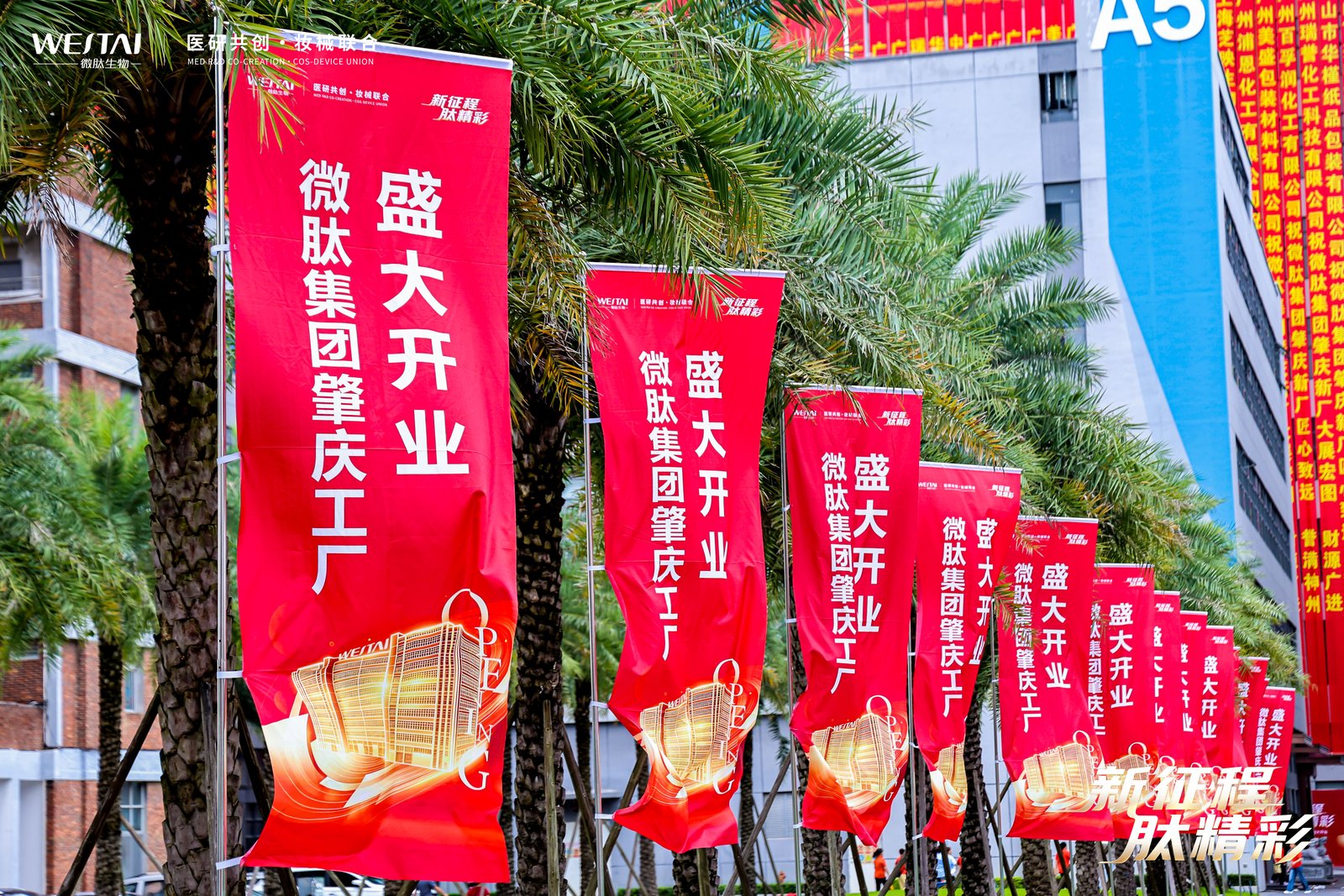 微肽肇庆工厂代工报价怎么构成的？影响价格的几个因素