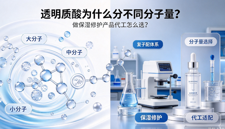 透明质酸为什么分不同分子量？做保湿修护产品代工怎么选？