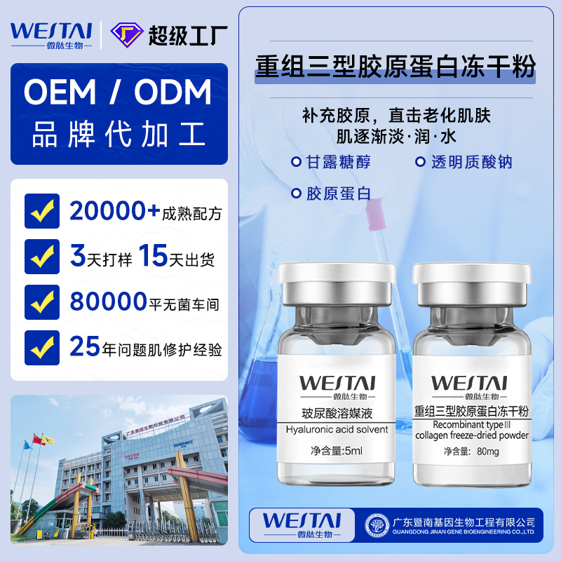 广东微肽生物 重组三型胶原蛋白冻干粉OEM/ODM  抗皱冻干粉代工厂家